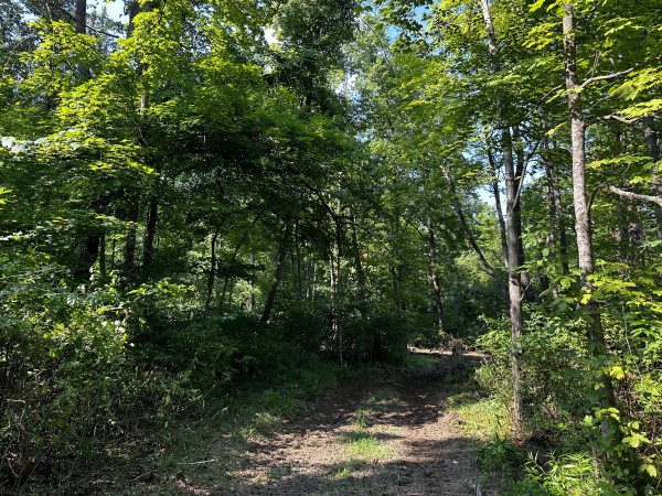 Tract 2 - Sheridan Woods property photo