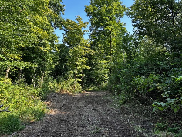 Tract 2 - Sheridan Woods property photo