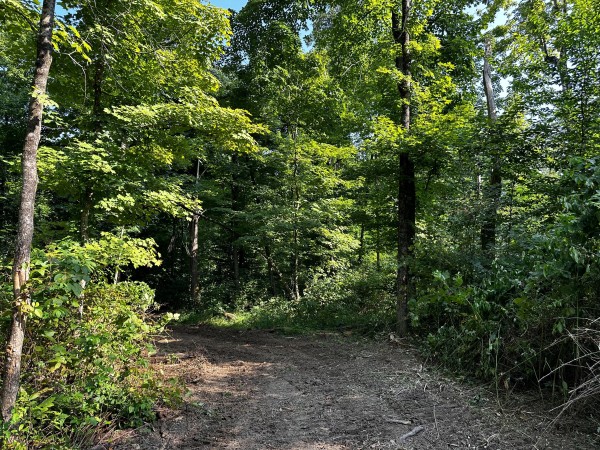 Tract 2 - Sheridan Woods property photo