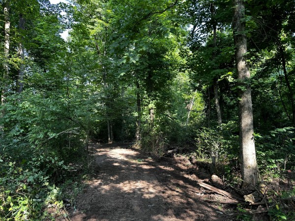 Tract 2 - Sheridan Woods property photo