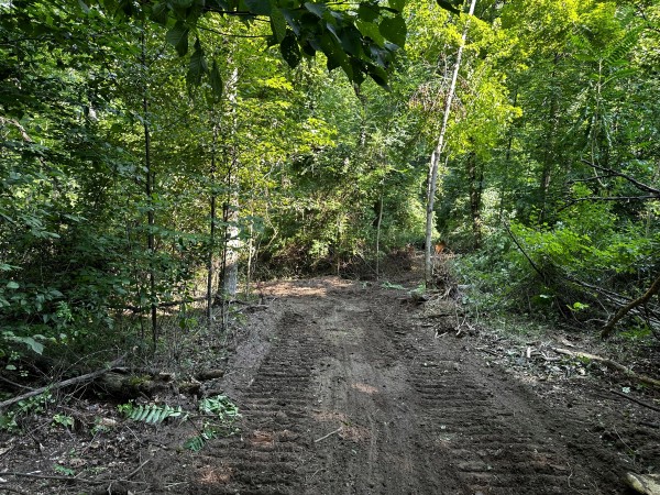 Tract 2 - Sheridan Woods property photo