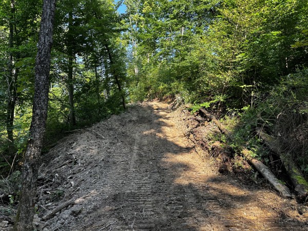 Tract 2 - Sheridan Woods property photo