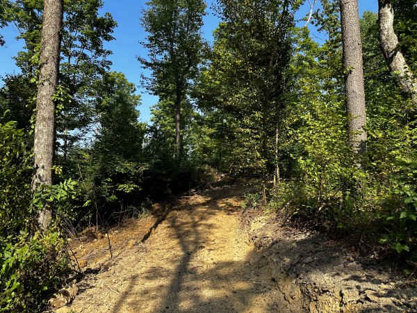 Tract 2 - Sheridan Woods property photo