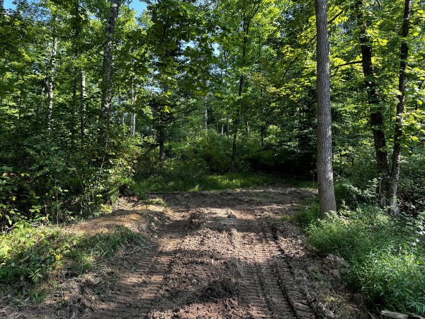 Tract 2 - Sheridan Woods property photo