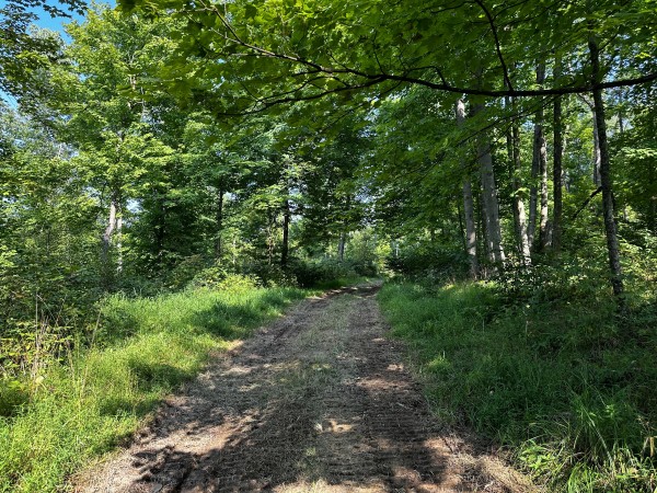 Tract 2 - Sheridan Woods property photo