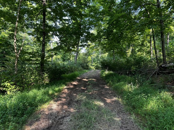 Tract 2 - Sheridan Woods property photo