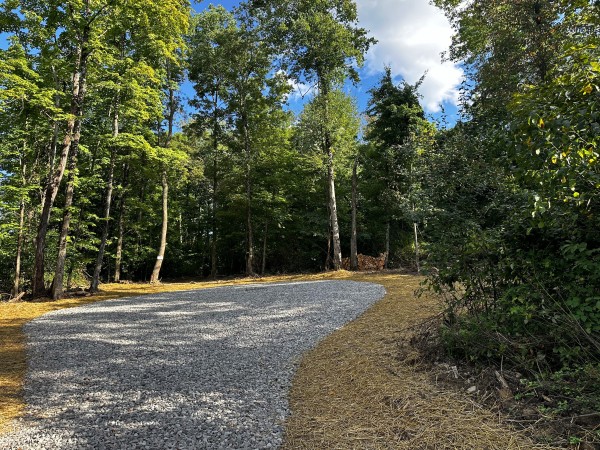 More of Tract 2 - Sheridan Woods