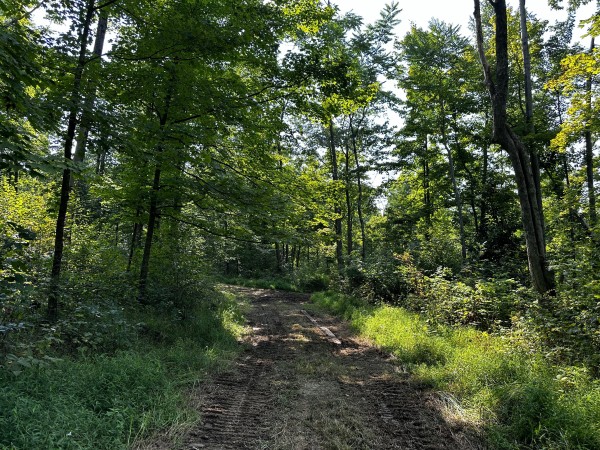 Tract 2 - Sheridan Woods property photo