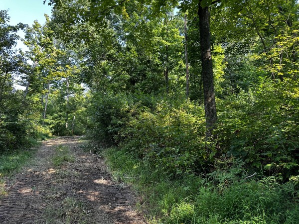 Tract 2 - Sheridan Woods property photo