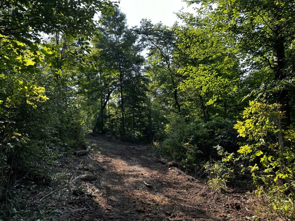 Tract 2 - Sheridan Woods property photo