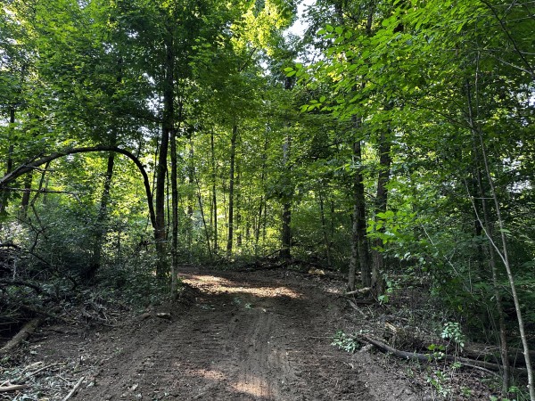 Tract 2 - Sheridan Woods property photo