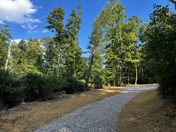 Tract 2 - Sheridan Woods property photo