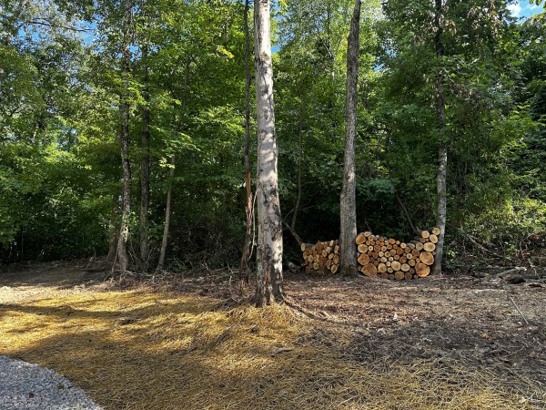 Tract 2 - Sheridan Woods property photo