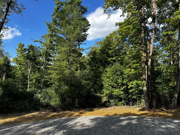 Tract 2 - Sheridan Woods property photo