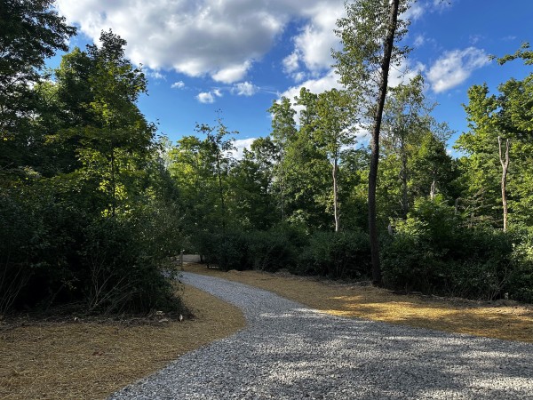 Tract 2 - Sheridan Woods property photo