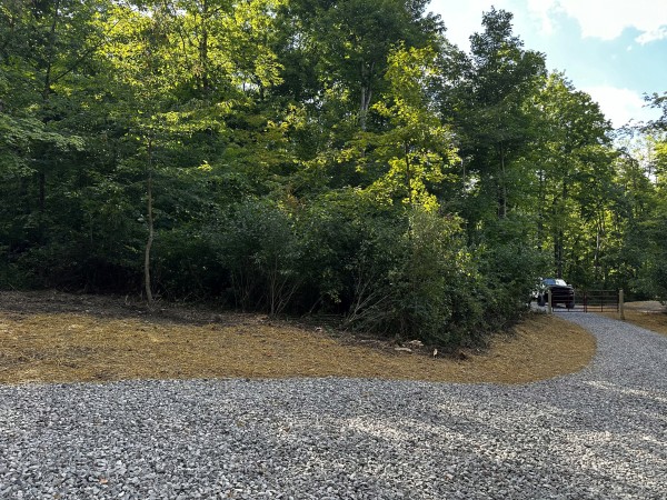 Tract 2 - Sheridan Woods property photo