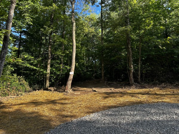 More of Tract 2 - Sheridan Woods
