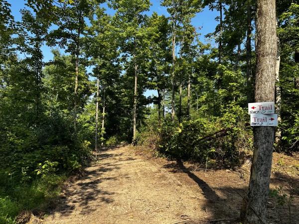 More of Tract 2 - Sheridan Woods