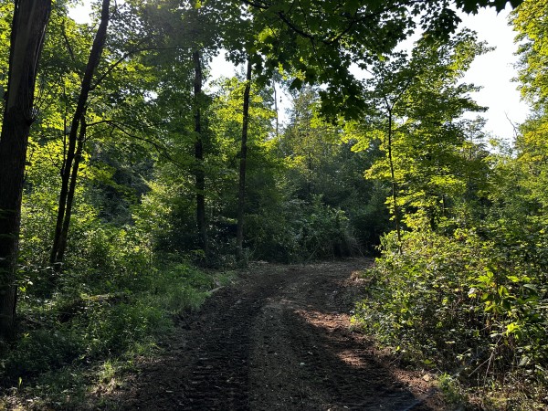 Tract 2 - Sheridan Woods property photo