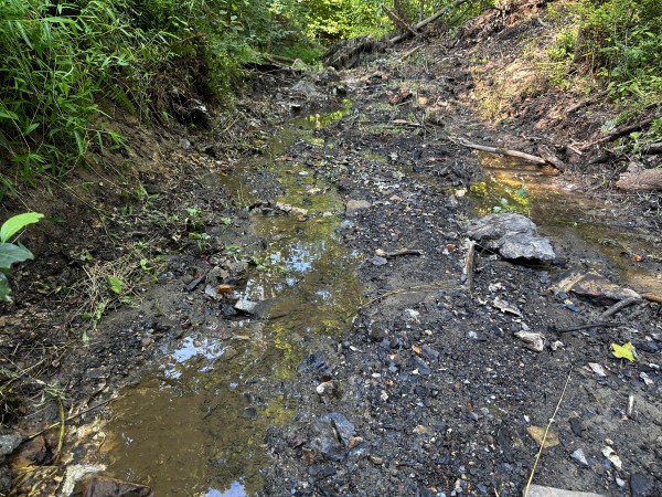 Tract 2 - Sheridan Woods property photo