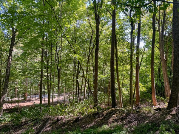 Tract 4 - The Woods at Potts Hill property photo