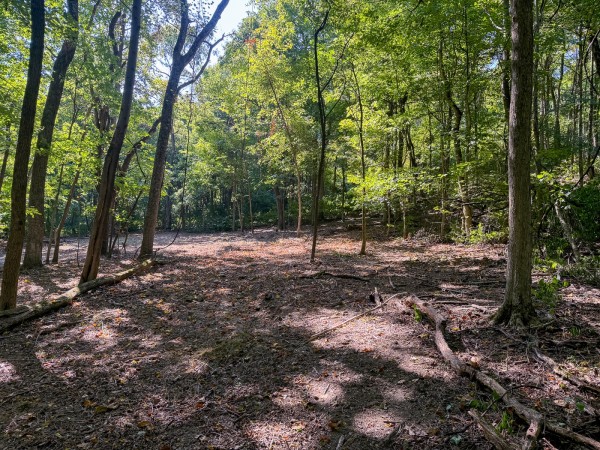Tract 4 - The Woods at Potts Hill property photo