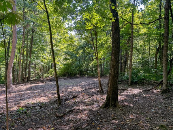 Tract 4 - The Woods at Potts Hill property photo