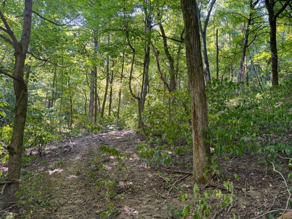 Tract 4 - The Woods at Potts Hill property photo