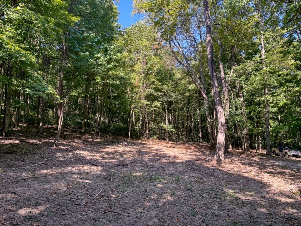 Tract 4 - The Woods at Potts Hill property photo