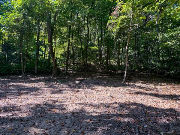 Tract 4 - The Woods at Potts Hill property photo