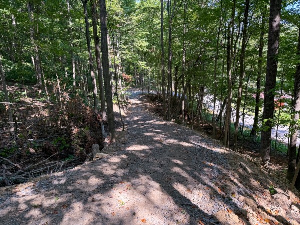 More of Tract 4 - The Woods at Potts Hill