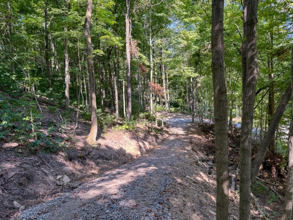 Tract 4 - The Woods at Potts Hill property photo