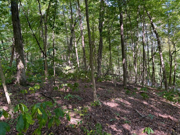Tract 4 - The Woods at Potts Hill property photo