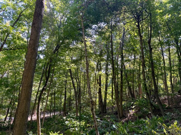 Tract 4 - The Woods at Potts Hill property photo