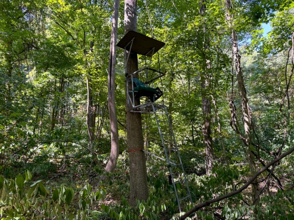 Tract 4 - The Woods at Potts Hill property photo