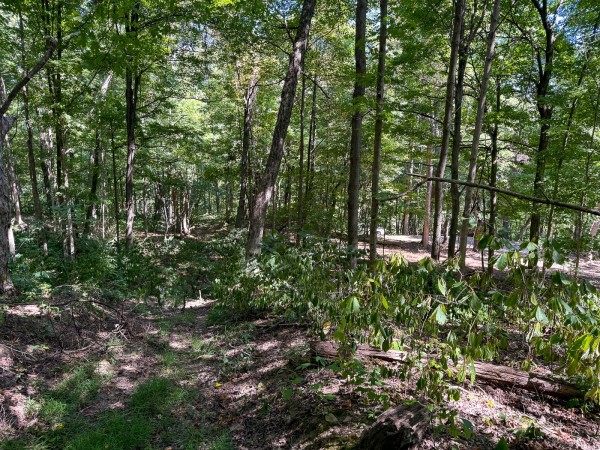 Tract 4 - The Woods at Potts Hill property photo