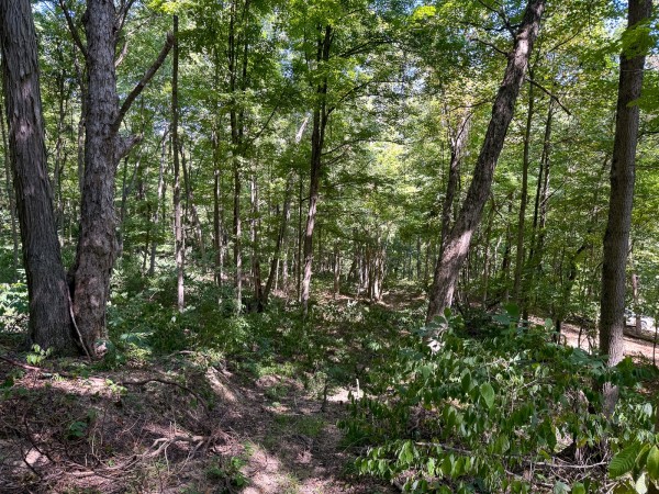 Tract 4 - The Woods at Potts Hill property photo