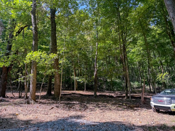 More of Tract 4 - The Woods at Potts Hill