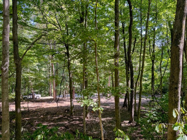 Tract 4 - The Woods at Potts Hill property photo