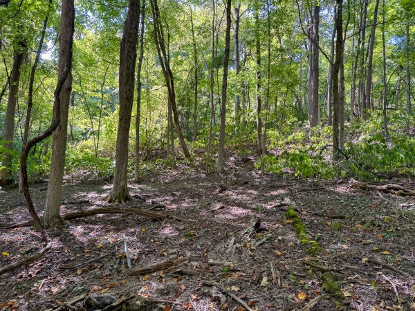 Tract 4 - The Woods at Potts Hill property photo