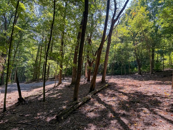 Tract 4 - The Woods at Potts Hill property photo