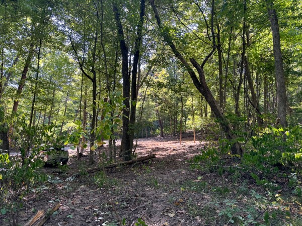 Tract 4 - The Woods at Potts Hill property photo