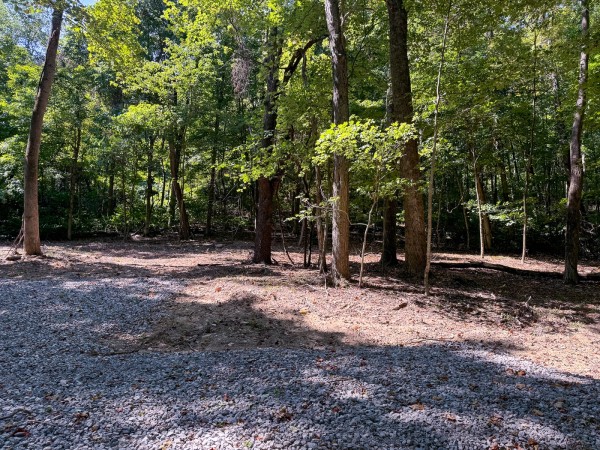 More of Tract 4 - The Woods at Potts Hill