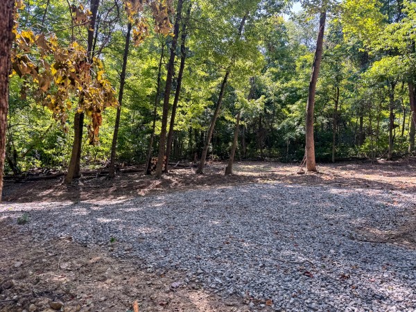More of Tract 4 - The Woods at Potts Hill