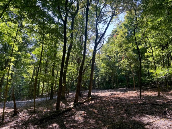 Tract 4 - The Woods at Potts Hill property photo