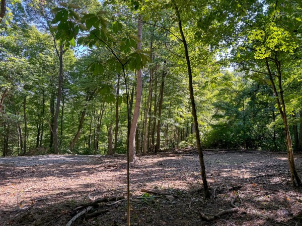 Tract 4 - The Woods at Potts Hill property photo
