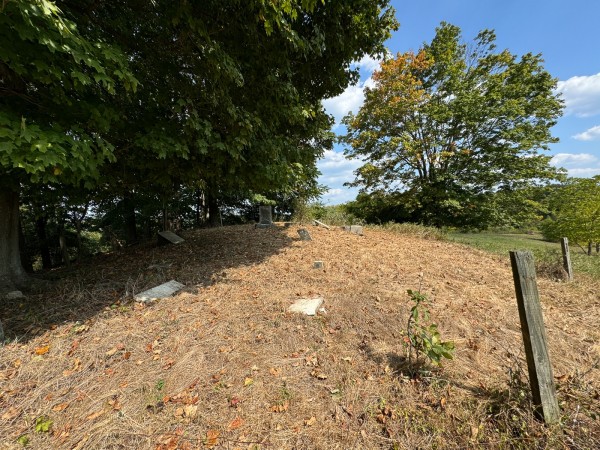 Tract 12 - Albany Woods property photo