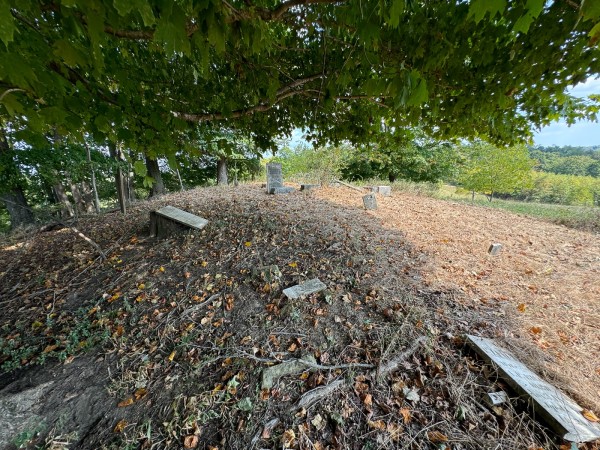 Tract 12 - Albany Woods property photo