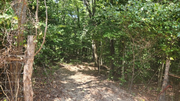 Tract 12 - Albany Woods property photo