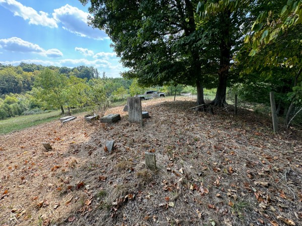 Tract 12 - Albany Woods property photo